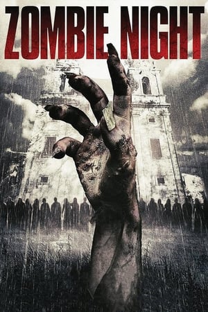 Poster Noc zombie 2013