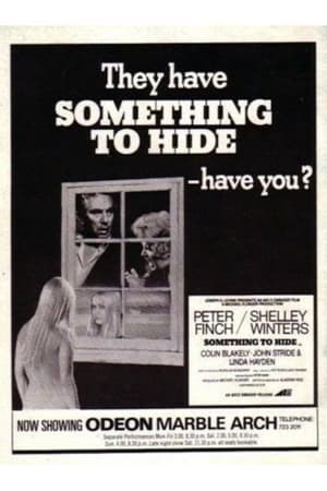 Poster Something to Hide 1972