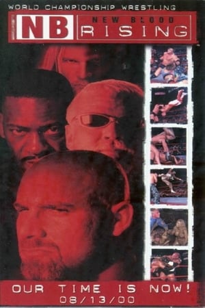 Télécharger WCW New Blood Rising ou regarder en streaming Torrent magnet 