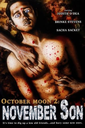 Poster October Moon 2: November Son 2008
