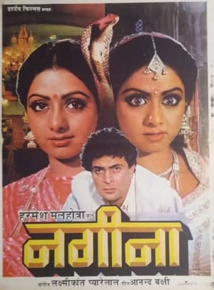 Poster Nagina 1986