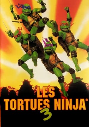 Image Les Tortues Ninja 3 : Retour au pays des samouraïs