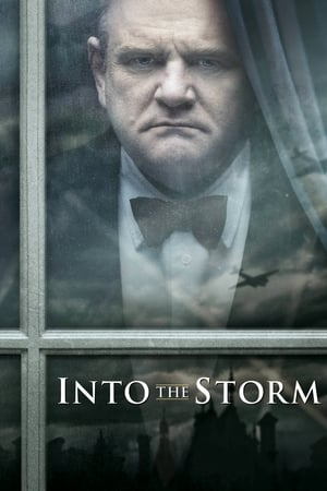 Image Into the Storm