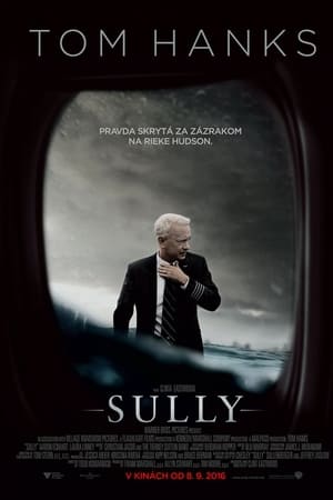 Poster Sully: Zázrak na rieke Hudson 2016