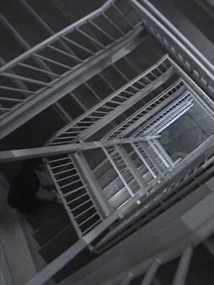 Rooftops (2023)