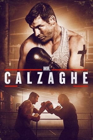 Poster Mr. Calzaghe 2015