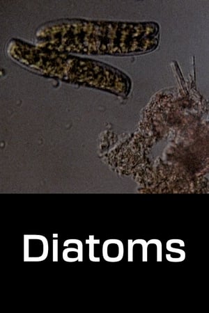 Poster Diatoms 1968