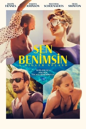 Poster Sen Benimsin 2015