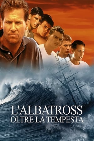 Image L'Albatross - Oltre la tempesta