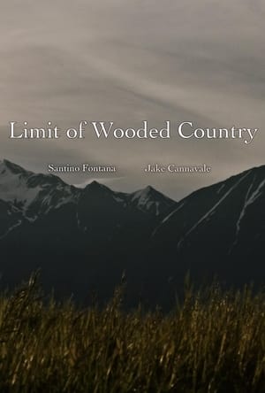 Image Limit of Wooded Country