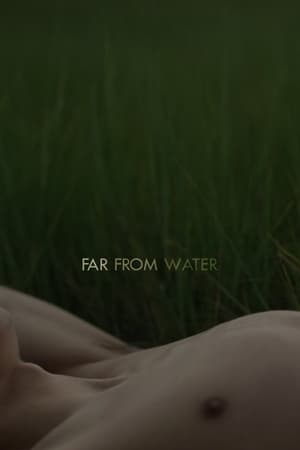 Image Far From Water