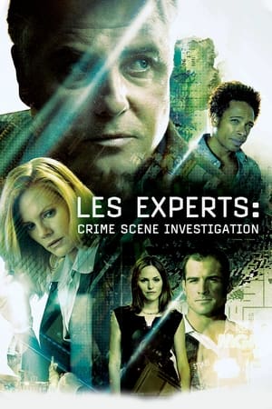 Les Experts en streaming ou téléchargement 