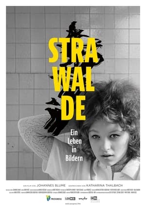 Image Strawalde - Ein Leben in Bildern