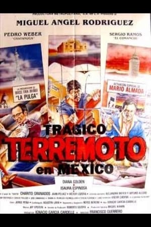 Télécharger Trágico terremoto en México ou regarder en streaming Torrent magnet 