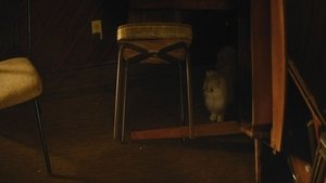 Manglehorn Manglehorn