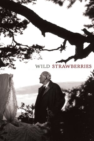 Wild Strawberries 1957