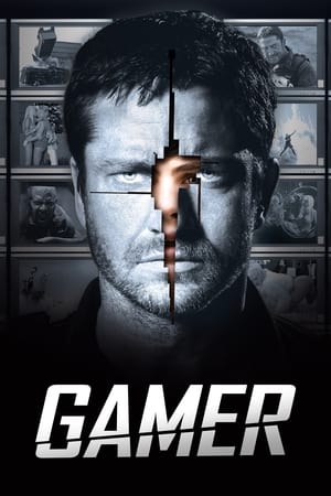 Poster Gamer 2009