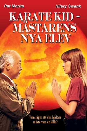 Poster Karate Kid: Mästarens nya elev 1994