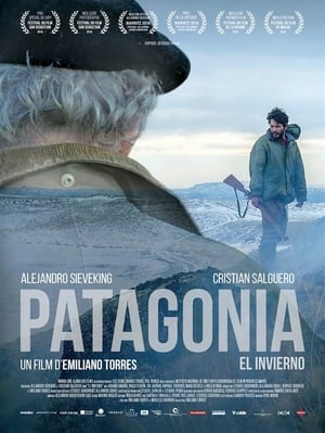 Télécharger Patagonia, el invierno ou regarder en streaming Torrent magnet 