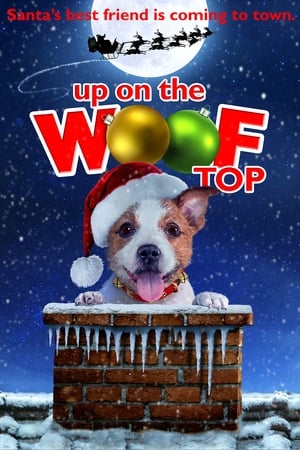 Image Up on the Wooftop
