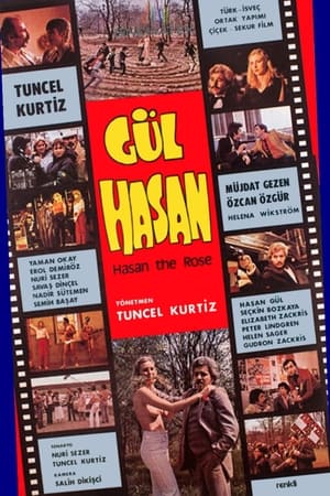 Image Gül Hasan