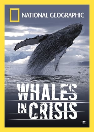 Poster Whales in Crisis 2004