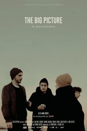 Image The Big Picture : Le documentaire