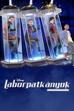 Image Laborpatkányok