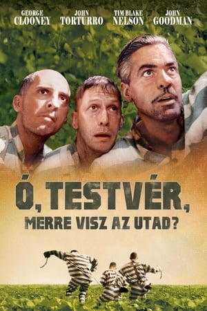 Image Ó, testvér, merre visz az utad?