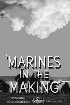 Télécharger Marines in the Making ou regarder en streaming Torrent magnet 