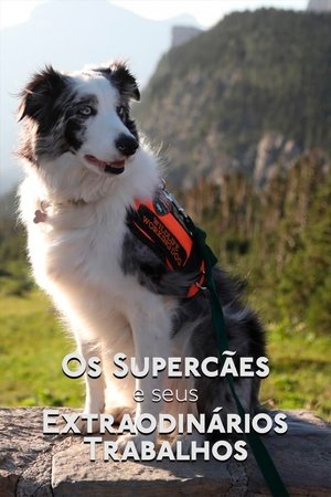 Os Supercães e Seus Extraordinários Trabalhos (2019)