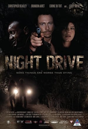 Poster Night Drive 2010