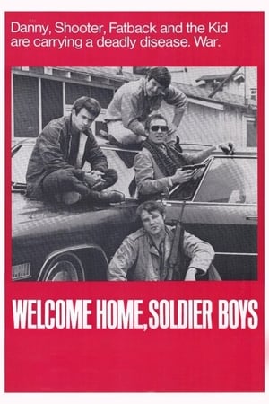 Image Welcome Home, Soldier Boys