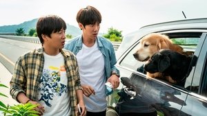 My Heart Puppy (2023)