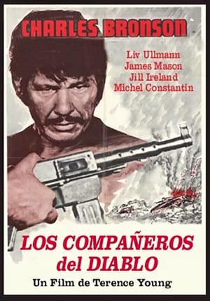 Image Los compañeros del diablo