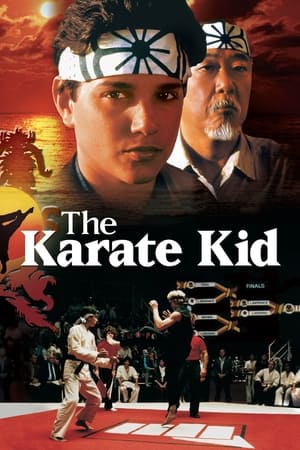 Poster Karate Kid 1984