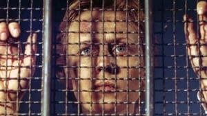 مشاهدة فيلم Interrogation 1989 مباشر اونلاين