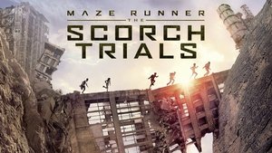 Images posters