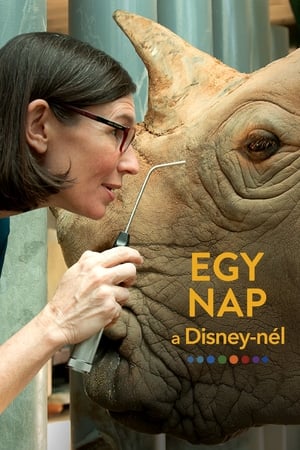 Image Egy nap a Disney-nél