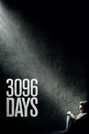 Poster 3096 Days 