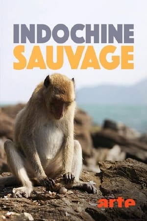 Image indochine sauvage