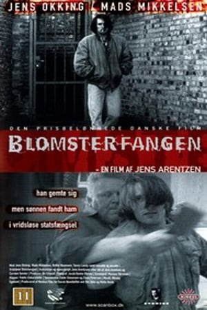 Poster Blomsterfangen 1996
