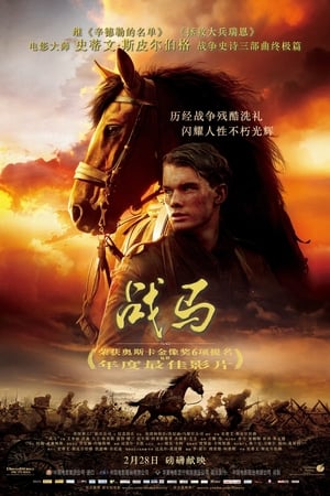 Poster 战马 2011