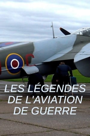 Image Les légendes de l'aviation de guerre