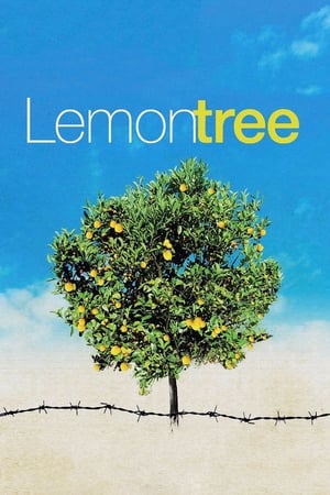 Poster Lemon Tree 2008