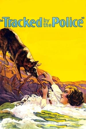 Poster Tracked by the Police 1927