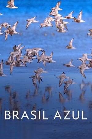 Poster Blue Brazil 2022