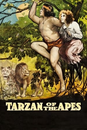 Télécharger Tarzan chez les singes ou regarder en streaming Torrent magnet 