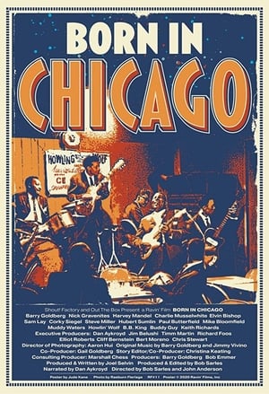 Poster Born In Chicago 2013
