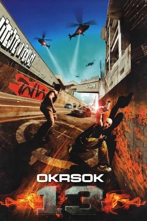 Poster Okrsok 13 2004